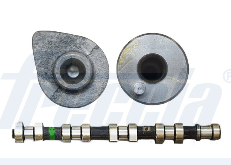 Распредвал Freccia CM052274