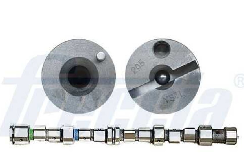 Распредвал Freccia CM052224